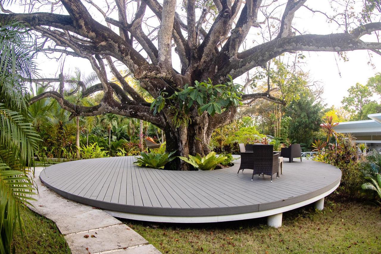 Aves Hotel Montezuma Luaran gambar